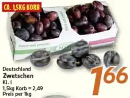 inkoop Deutschland Zwetschen Angebot