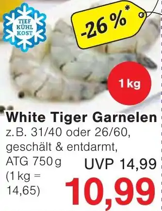 Jawoll White Tiger Garnelen Angebot