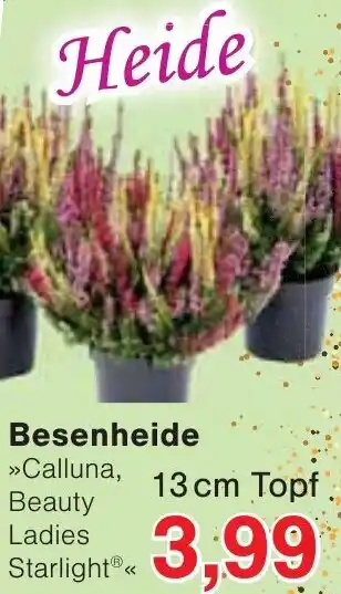 Jawoll Besenheide Angebot