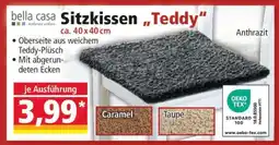 Norma Sitzkissen Teddy Angebot