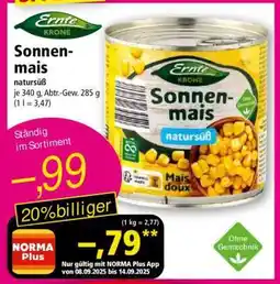 Norma Sonnen-Mais Angebot