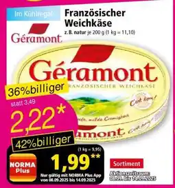 Norma Französischer Weichkäse Angebot