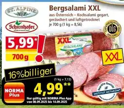 Norma Bergsalami XXL Angebot