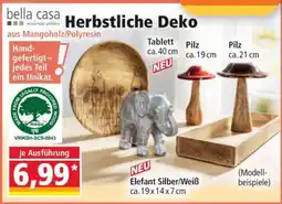 Norma Herbstliche Deko Angebot