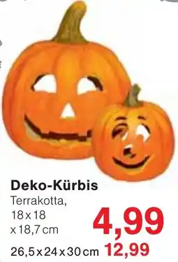Jawoll Deko-Kürbis Angebot