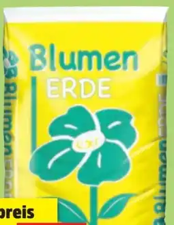 Thomas Philipps Blumenerde Angebot