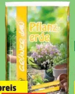 Thomas Philipps Grüner Jan Pflanzerde Angebot