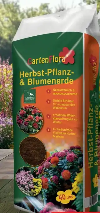 Thomas Philipps Gartenflora Herbst-Pflanz-& Blumenerde Angebot
