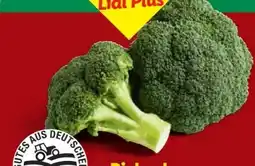 Lidl Bio Brokkoli Angebot