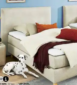 Ostermann Boxspringbett Elastoform Osric Angebot