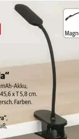Hagebau Casaya LED-Akku-Klemmleuchte Narila Angebot