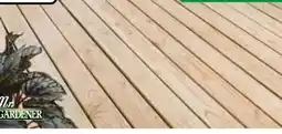 Hagebau Mr. Gardener Terrassendiele Douglasie Angebot