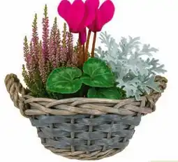 Hagebau Bepflanzter Korb Angebot