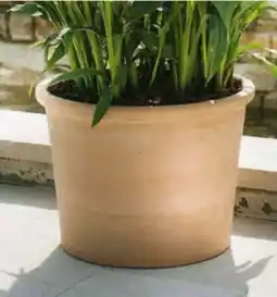 Hagebau Pflanztopf Cilindro Bordato Angebot