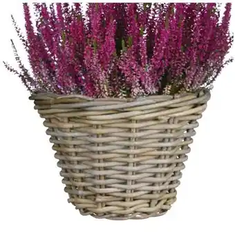 Hagebau Pflanzkorb Marcia Angebot