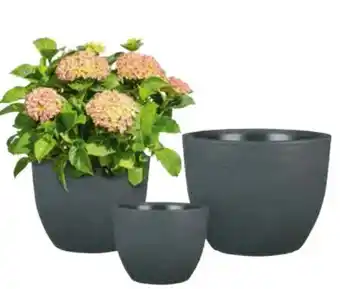 Hagebau Pflanzgefäß Palermo Angebot