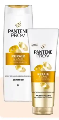 Rossmann Pantene Pro-V Shampoo Angebot