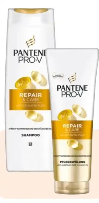 Rossmann Pantene Pro-V Shampoo Angebot