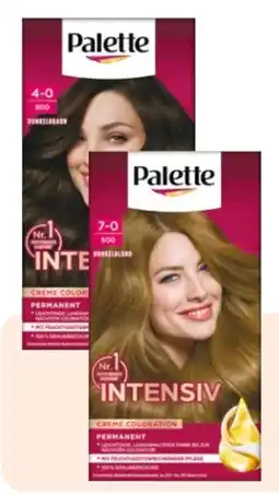 Rossmann Poly Palette Intensiv Creme Coloration Angebot