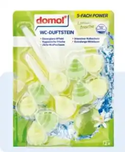 Rossmann Domol WC-Duftsteine 2in1 Angebot