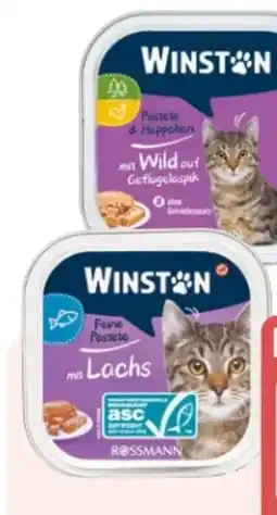 Rossmann Winston Katze Feine Pastete & Häppchen Angebot