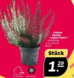 NETTO Beauty Ladies Calluna Twins Angebot