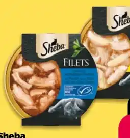 NETTO Sheba Feine Filets Angebot
