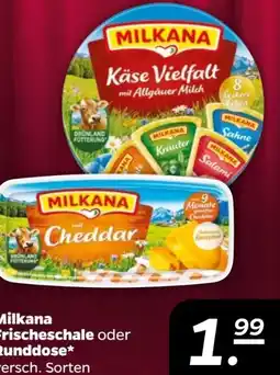 NETTO Milkana Frischeschalen Angebot