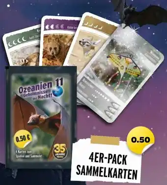 NETTO Ozeanien 11 Sammelkarten Angebot