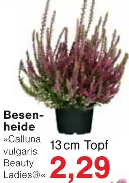 Jawoll Besenheide Angebot