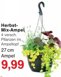 Jawoll Herbst Mix-Ampel Angebot