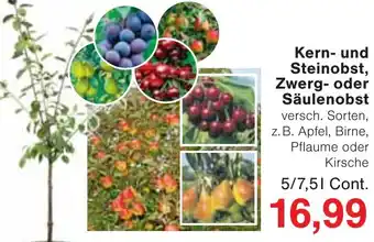 Jawoll Kern- und Steinobst, Zwerg- oder Säulenobst Angebot