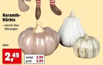 Thomas Philipps Keramik-kürbis klein Angebot