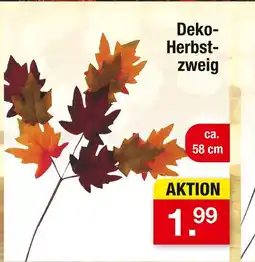 Zimmermann Deko-herbstzweig Angebot