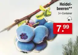 Zimmermann Heidelbeeren Angebot