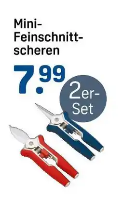 Rossmann Mini-feinschnittscheren Angebot