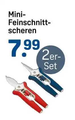 Rossmann Mini-feinschnittscheren Angebot