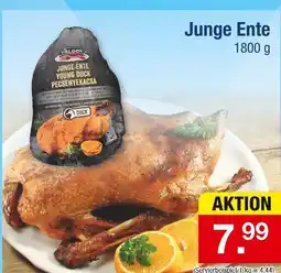 Zimmermann Valdor junge ente Angebot