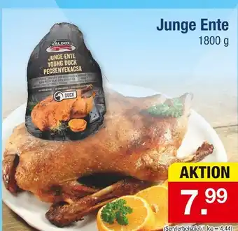 Zimmermann Valdor junge ente Angebot