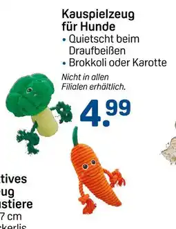 Rossmann Kauspielzeug brokkoli Angebot