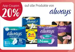 Rossmann Always ultra day Angebot