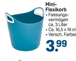 Rossmann Mini-flexikorb Angebot