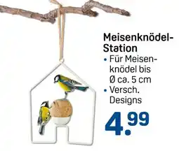 Rossmann Meisenknödel-station Angebot