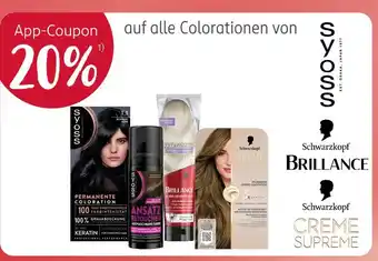 Rossmann Syoss permanente coloration Angebot