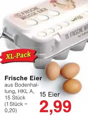 Wiglo Wunderland Frische Eier Angebot