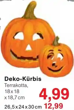 Wiglo Wunderland Deko-Kürbis Angebot