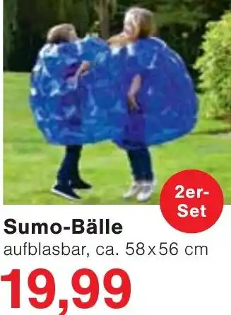Wiglo Wunderland Sumo-Bälle Angebot