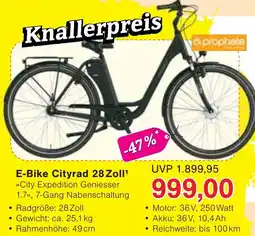 Wiglo Wunderland E-Bike Cityrad 28 Zoll Angebot