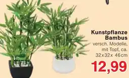 Wiglo Wunderland Kunstpflanze Bambus Angebot