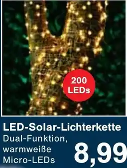 Wiglo Wunderland LED-Solar-Lichterkette Angebot